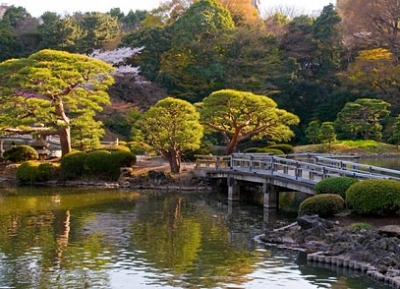 حديقة شينجوكو غيون