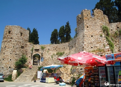 قلعة كوساداسى