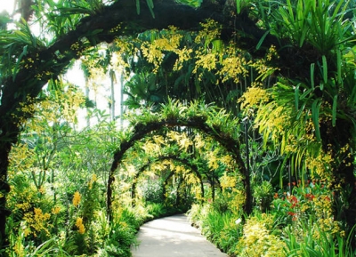  حدائق سنغافورة النباتية 