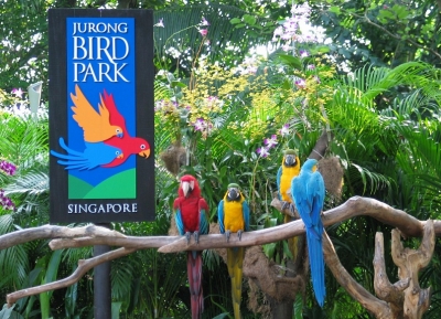 حديقة جورونغ للطيور