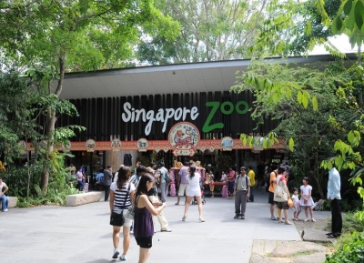  حديقة حيوان سنغافورة  