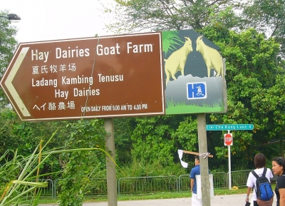  مزرعة منتجات الالبان هاي  