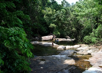  محمية غابة كيتولغالا 