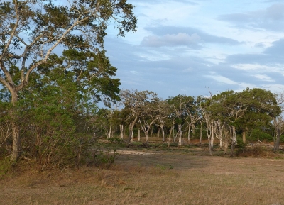 حديقة لونوغامفيرا الوطنية