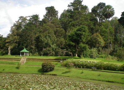  حديقة فيكتوريا  