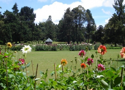 حديقة فيكتوريا