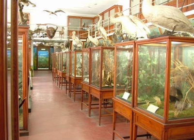 متحف الحيوان