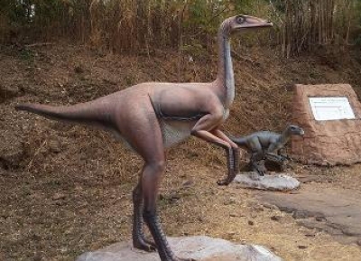  آثار اقدام الديناصور في حديقة ثا أوثن 