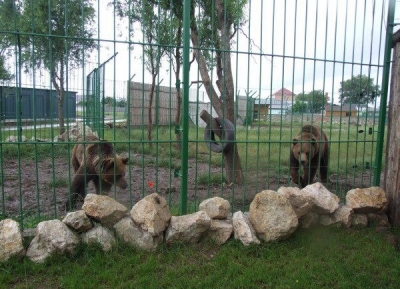  حديقة حيوان تارجو موريش 