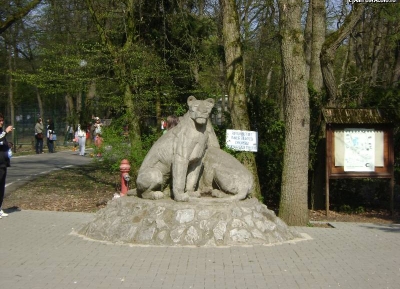  حديقة حيوان تارجو موريش 
