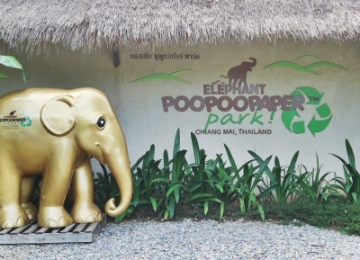 حديقة بوبوبابر للفيلة