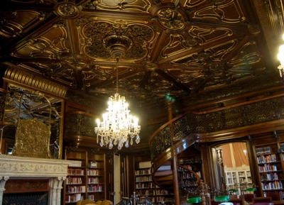  مكتبة اروين زابو المركزيه 