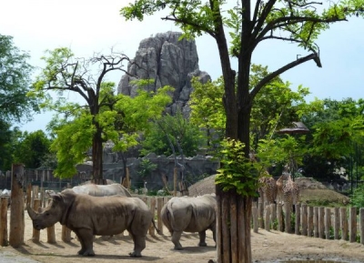  حديقة حيوان بودابست 