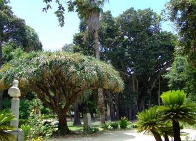  حديقة غاريبالدي 