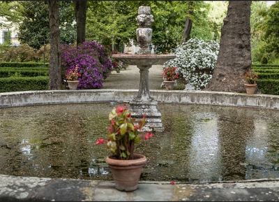  حديقة سيمبليسي 