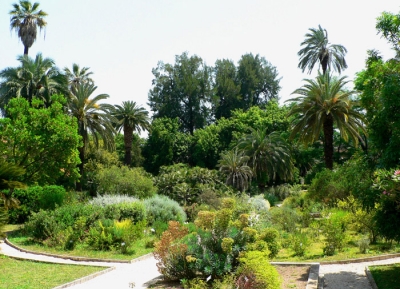  حديقة لاسابينزا - حديقة روما النباتيه 