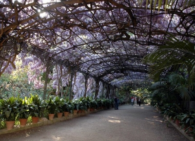  حديقة النباتات التاريخيه - لا كونسيبسيان 
