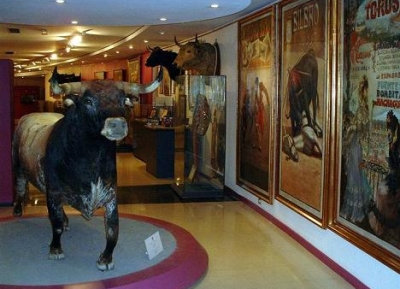  متحف مصارعة الثيران 
