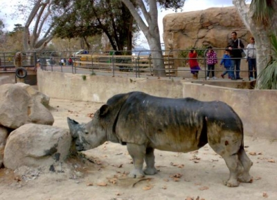  حديقة حيوان برشلونة 