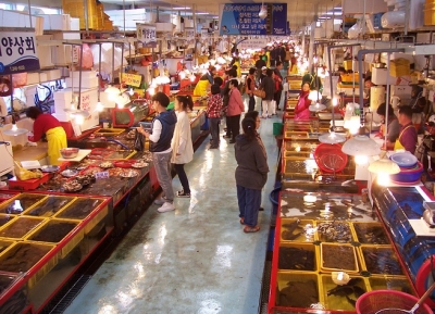  سوق جاجالتشي للسمك  