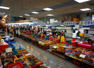  سوق جاجالتشي للسمك  