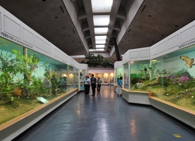  متحف الفولكلور والتاريخ الطبيعي 