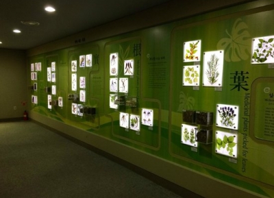  متحف دايجو يانغنيونغسي للطب الشرقي 