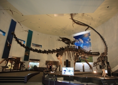متحف التاريخ الطبيعي في موكبو