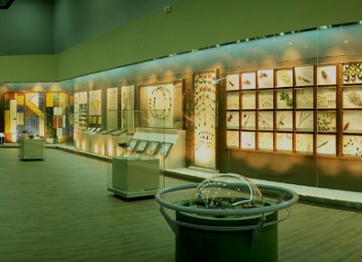  متحف التاريخ الطبيعي في موكبو 