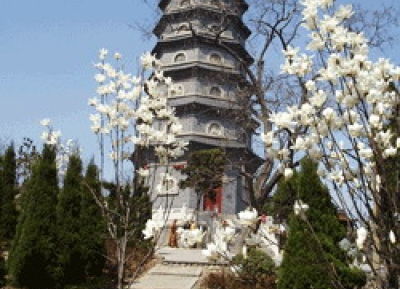  معبد زانشان 