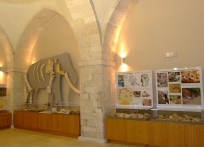 متحف التاريخ الطبيعى