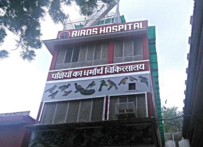  مستشفى الطيور 