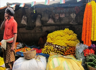  سوق موليك غات للورود 