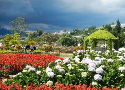  حدائق زهرة دالات 