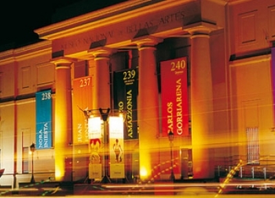  المتحف الوطني للفنون الجميلة 
