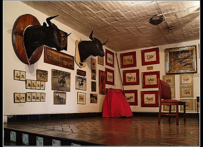  متحف مصارعة الثيران 