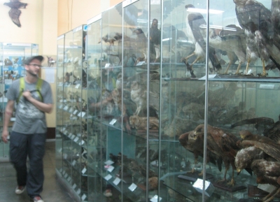  متحف علم الحيوان 