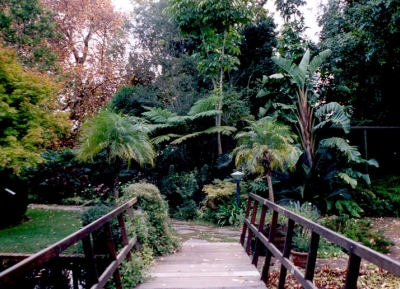  حديقة جامعه ستيلينبوش النباتية 