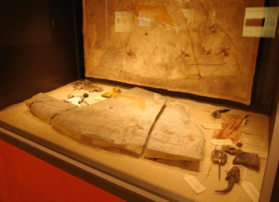  متحف اصل الاجناس 