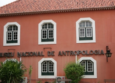  المتحف الوطني لعلم الأجناس البشرية - متحف الانثروبولوجى 