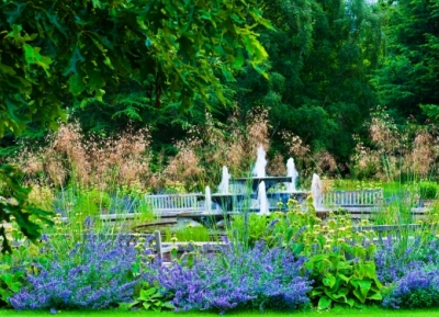  حديقة جامعة كامبريدج النباتية 