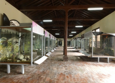  متحف المقاطعة اجناسيو اغرامونتي 