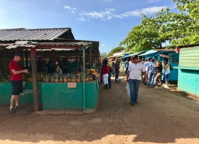 سوق هاتيبونيكو الزراعي