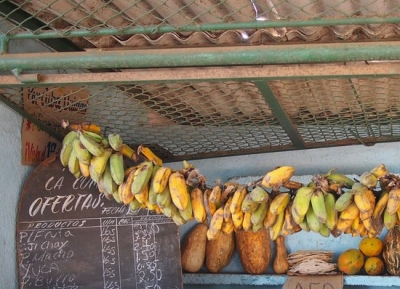  سوق هاتيبونيكو الزراعي 
