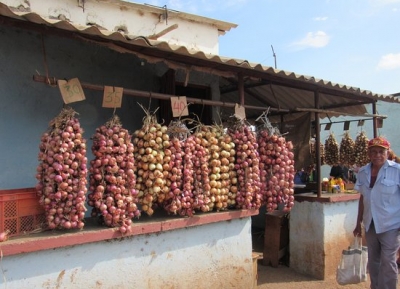  سوق هاتيبونيكو الزراعي 