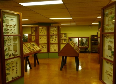 متحف الحشرات