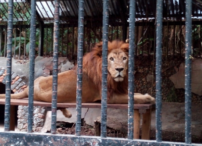  حديقة سيمون بوليفار الوطنية للحيوانات 