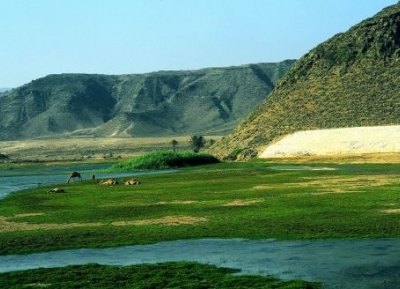 خور عواد