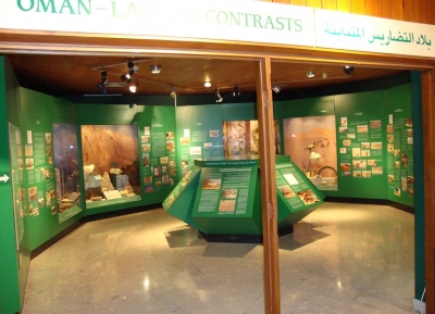  متحف التاريخ الطبيعي 