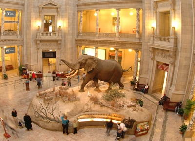  المتحف الوطني للتاريخ الطبيعي 